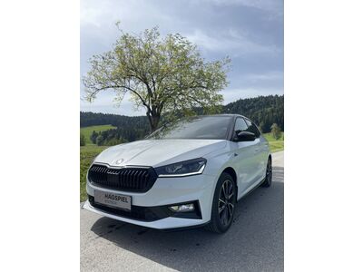 Skoda Fabia Gebrauchtwagen Skoda Fabia Gebrauchtwagen