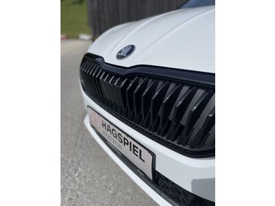 Skoda Fabia Gebrauchtwagen Skoda Fabia Gebrauchtwagen