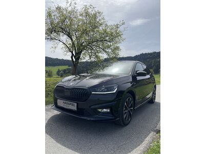 Skoda Fabia Gebrauchtwagen Skoda Fabia Gebrauchtwagen