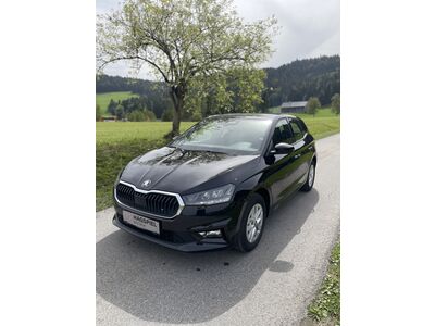 Skoda Fabia Gebrauchtwagen Skoda Fabia Gebrauchtwagen