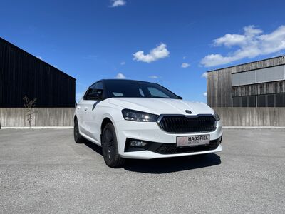 Skoda Fabia Gebrauchtwagen Skoda Fabia Gebrauchtwagen