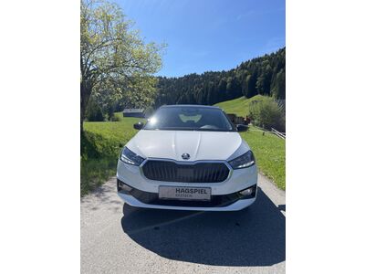 Skoda Fabia Gebrauchtwagen Skoda Fabia Gebrauchtwagen