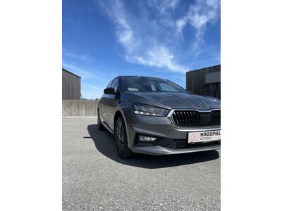 Skoda Fabia Gebrauchtwagen