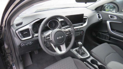 KIA Ceed Neuwagen