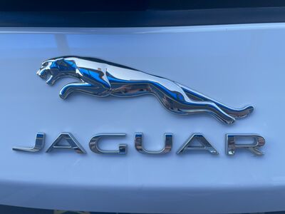 Jaguar F-Pace Gebrauchtwagen