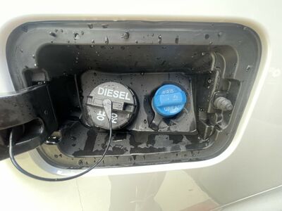 KGM/SsangYong Rexton Neuwagen