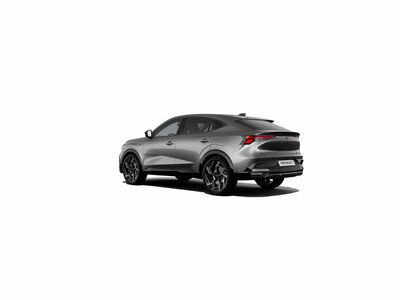 Renault Rafale Gebrauchtwagen