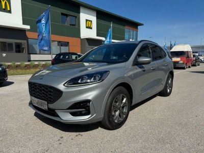 Ford Kuga Tageszulassung