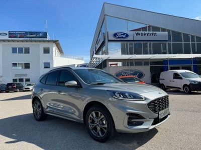 Ford Kuga Tageszulassung