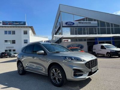 Ford Kuga Tageszulassung