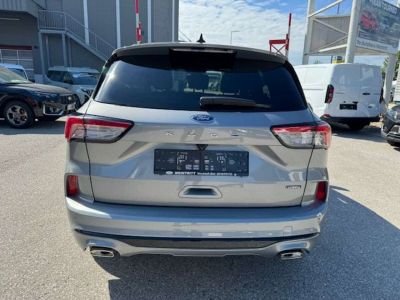 Ford Kuga Tageszulassung