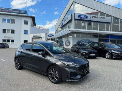 Ford Fiesta Tageszulassung