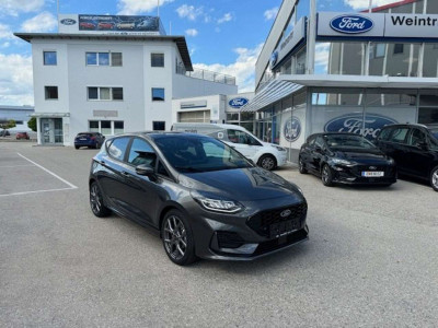 Ford Fiesta Tageszulassung