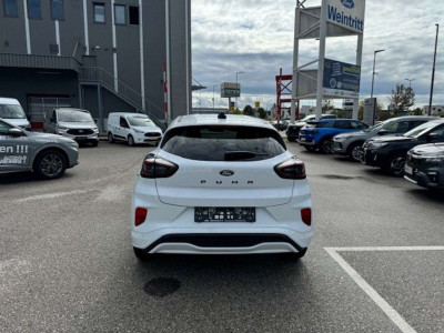 Ford Puma Neuwagen