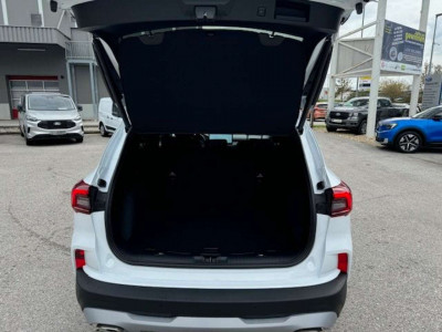 Ford Kuga Neuwagen