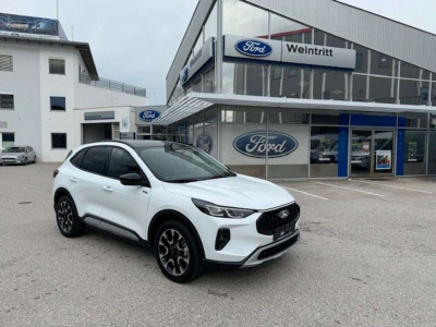 Ford Kuga Neuwagen