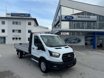 Ford Transit Tageszulassung