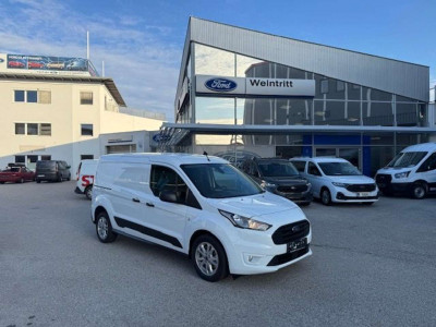 Ford Transit Connect Tageszulassung