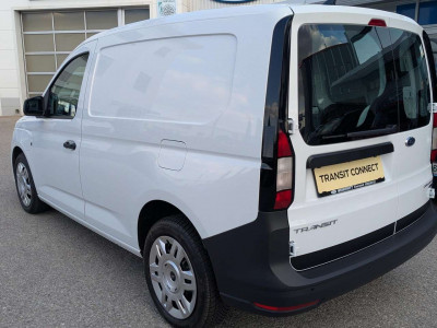 Ford Transit Connect Tageszulassung