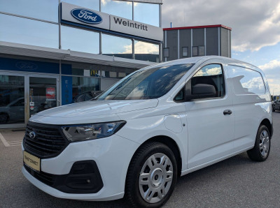 Ford Transit Connect Tageszulassung