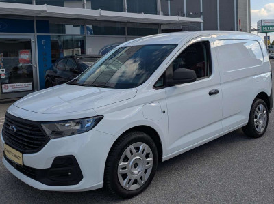 Ford Transit Connect Tageszulassung