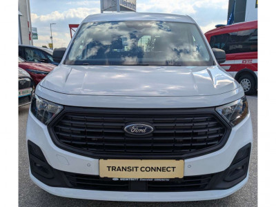 Ford Transit Connect Tageszulassung