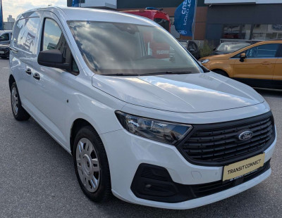 Ford Transit Connect Tageszulassung
