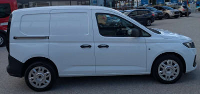 Ford Transit Connect Tageszulassung