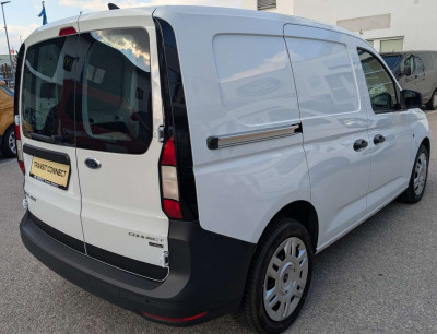 Ford Transit Connect Tageszulassung