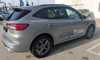 Ford Kuga Gebrauchtwagen