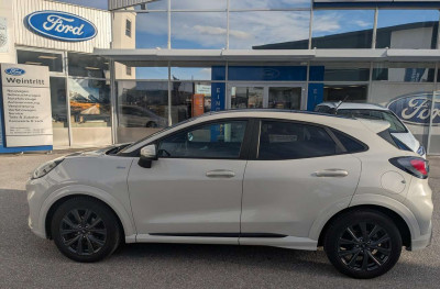 Ford Puma Gebrauchtwagen