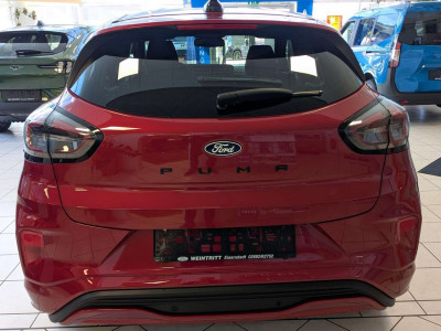 Ford Puma Neuwagen