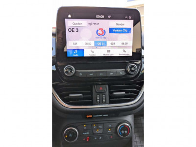 Ford Fiesta Gebrauchtwagen