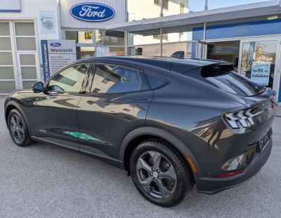 Ford Mustang Mach-E Gebrauchtwagen Ford Mustang Mach-E Gebrauchtwagen