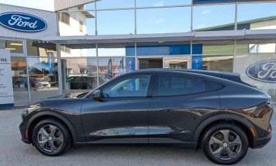 Ford Mustang Mach-E Gebrauchtwagen Ford Mustang Mach-E Gebrauchtwagen