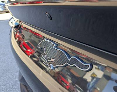 Ford Mustang Mach-E Gebrauchtwagen Ford Mustang Mach-E Gebrauchtwagen