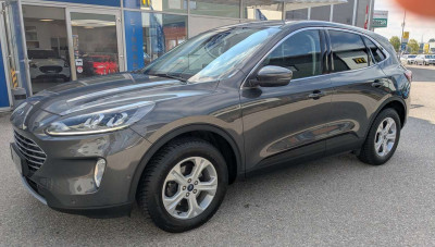 Ford Kuga Gebrauchtwagen Ford Kuga Gebrauchtwagen