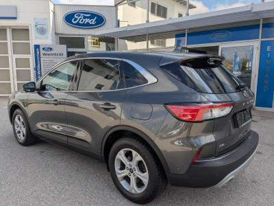 Ford Kuga Gebrauchtwagen Ford Kuga Gebrauchtwagen