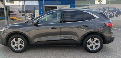 Ford Kuga Gebrauchtwagen Ford Kuga Gebrauchtwagen