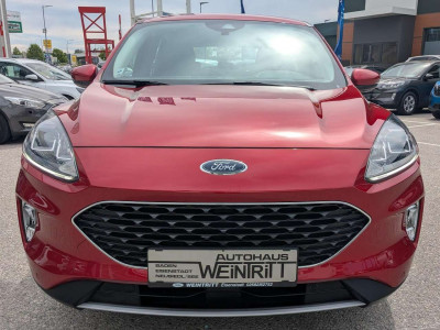 Ford Kuga Gebrauchtwagen