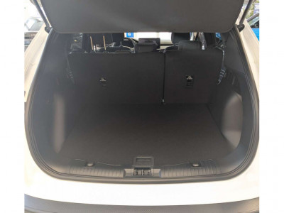 Ford Kuga Neuwagen Ford Kuga Neuwagen