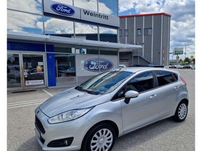Ford Fiesta Gebrauchtwagen Ford Fiesta Gebrauchtwagen