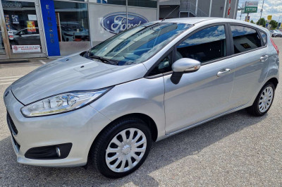 Ford Fiesta Gebrauchtwagen Ford Fiesta Gebrauchtwagen