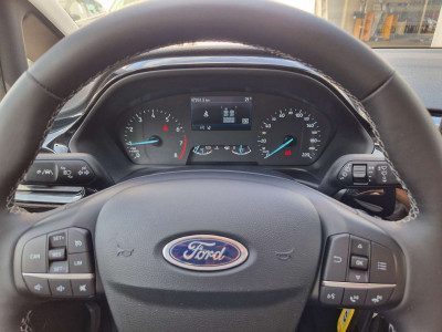 Ford Fiesta Gebrauchtwagen Ford Fiesta Gebrauchtwagen
