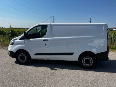 Ford Transit Custom Tageszulassung