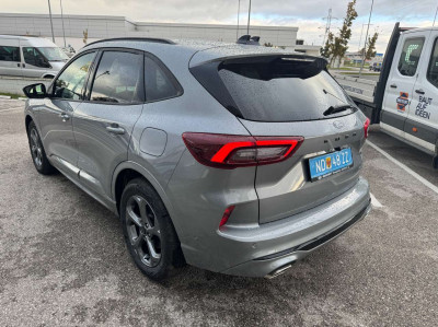 Ford Kuga Neuwagen