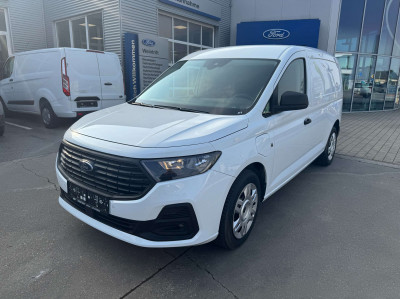 Ford Transit Connect Tageszulassung