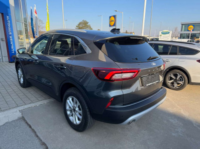 Ford Kuga Neuwagen