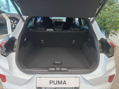 Ford Puma Neuwagen