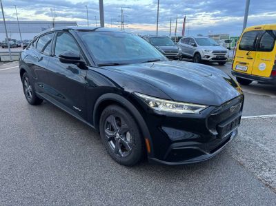 Ford Mustang Mach-E Gebrauchtwagen